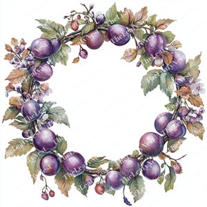 May include: A watercolour illustration of a wreath featuring ripe purple plums, green and brown leaves, and small red berries. The plums are round and glossy, arranged in a circular pattern.