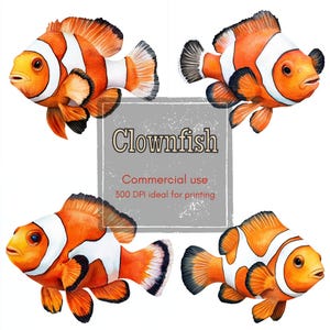 13 Clownfish Clipart, Orange White Fish Clipart, Curved Tropical Fish Clipart, Printable Watercolor, High-Quality PNGs, Papercraft, Journal