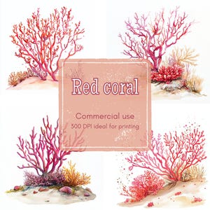 18 Coral Landscape Clipart, Pink and Red Coral with Seaweed, Printable Watercolor Clipart, High Quality JPGs,PNGs, Digital Download, Journal