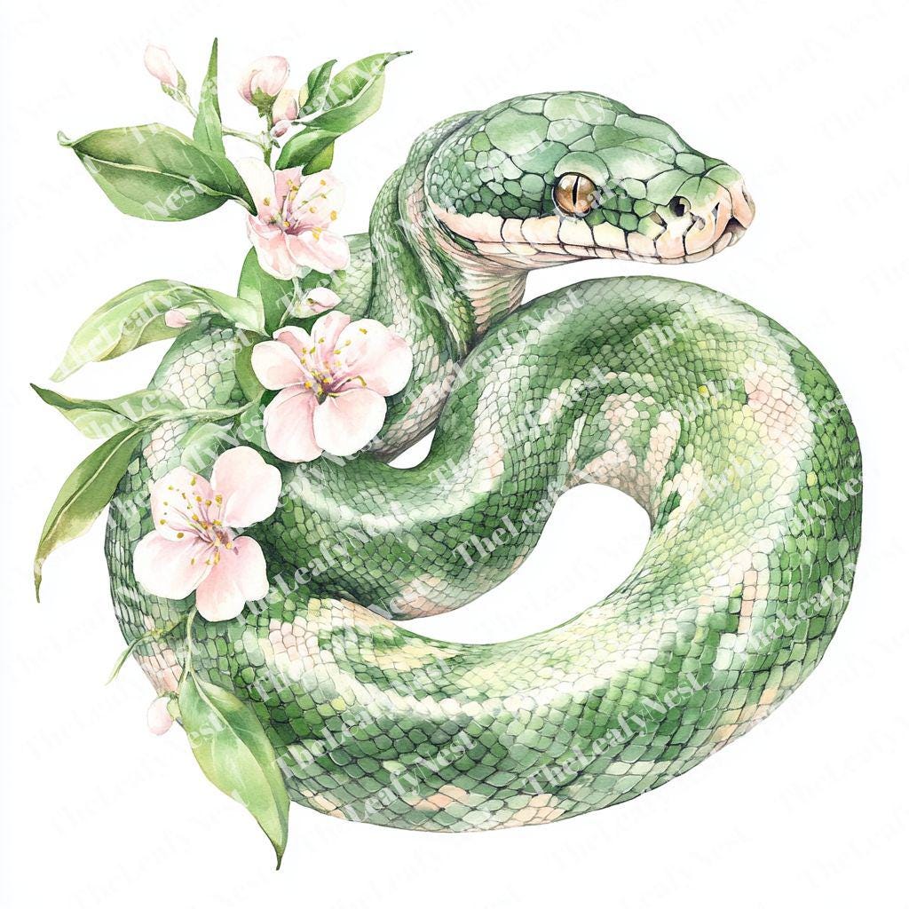 蛇と花の手描きアート作品 15種類のPythonスパイラルクリップアート、花柄のヘビのクリップアート