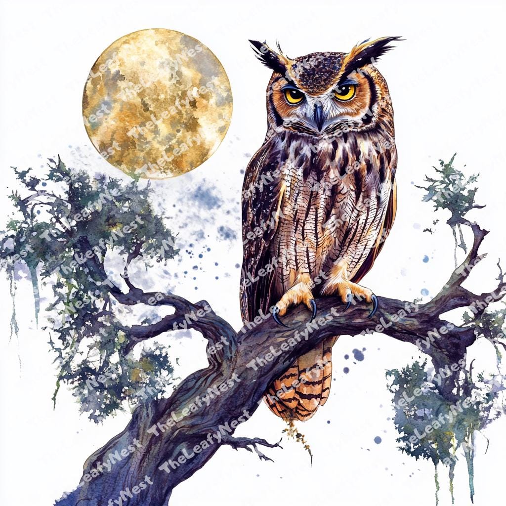 7 Owl clipart, Birds clipart, printable Watercolor clipart, High Quality JPGs and PNGs, Digital down