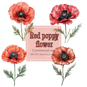 11 Red Poppy Clipart, Wildflower Bloom Clipart, Ruffled Petal Flower Clipart, Printable Watercolor, High-Quality PNG, Papercraft, Journal