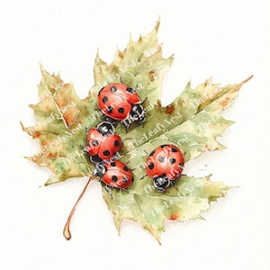 May include: Watercolor painting of four red ladybugs with black spots on a large green and yellow leaf. The leaf has detailed veins and a brown stem. The artwork is set against a white background.