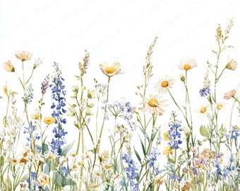 May include: A watercolour illustration of a wildflower meadow. The image shows a variety of flowers in shades of white, yellow, blue, and purple, with green grass and stems. The flowers are painted in a realistic style against a white background.