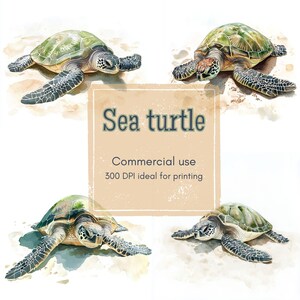 11 Sea Turtle Clipart, Watercolor Turtle on Beach Clipart, Printable Watercolor Clipart, High Quality JPGs, Digital Download, Junk Journal