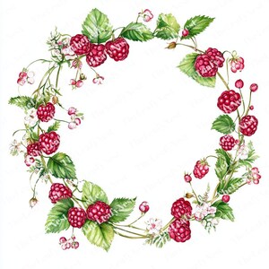 May include: Watercolor illustration of a circular wreath composed of ripe red raspberries, green leaves, and delicate white flowers. The berries are clustered along the vines, creating a natural, botanical design. The wreath is set against a white background.