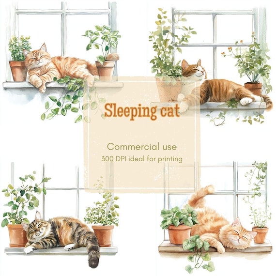 imágenes prediseñadas de gato en la repisa de la ventana