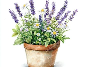 12 cliparts en Pot d'herbes, lavande menthe camomille en pot rustique, clipart aquarelle imprimable, PNG de haute qualité, téléchargement numérique, journal indésirable