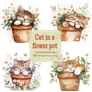 Könnte beinhalten: Aquarellillustration mit vier Bildern von schlafenden Kätzchen in Terrakotta-Blumentöpfen, umgeben von weißen Gänseblümchen und grünem Laub. Der Text "Cat in a flower pot" wird angezeigt.