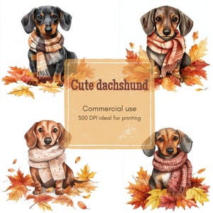 May include: Watercolor illustration of four dachshunds wearing scarves, surrounded by autumn leaves. The text "Cute dachshund" is displayed on a tan background, with the words "Commercial use" and "300 DPI ideal for printing".