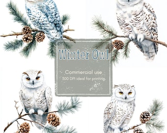 Snowy Owl Clipart: Winter Forest Watercolor Bird Art JPG, PNG Digital Download
