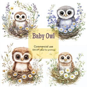 Puede incluir: Ilustraciones en acuarela de búhos bebés en nidos rodeados de flores y vegetación. Los búhos tienen ojos grandes y están representados en varios tonos de marrón y gris. También aparece el texto "Baby Owl" y "Commercial use".