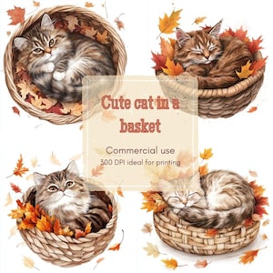 12 Clipart di gatto nel cesto, Clipart di gatto della foresta autunnale, Clipart di animale domestico stagionale accogliente, Acquerello stampabile, PNG di alta qualità, Carta da regalo, Diario