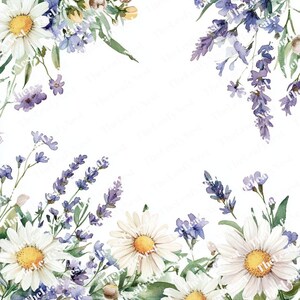 May include: Watercolor floral design featuring white daisies with yellow centers and purple lavender sprigs against a white background. Green leaves and small blue flowers accent the arrangement. A delicate, botanical theme.