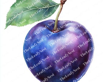 Puede incluir: Ilustración en acuarela de una ciruela madura con una hoja y un tallo verdes. La ciruela es un degradado de tonos azules y morados, con una textura brillante. La hoja es verde con vetas visibles. El texto "TheLeafyNest" está en marca de agua en la imagen.