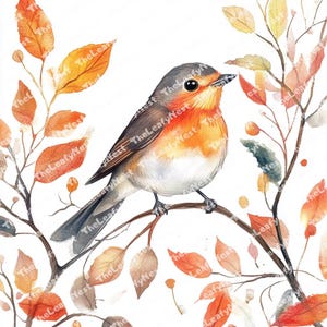 14 Robin with autumn leave clipart, Watercolor birds, printable Watercolor clipart, High Quality JPGs and PNGs, Digital download,