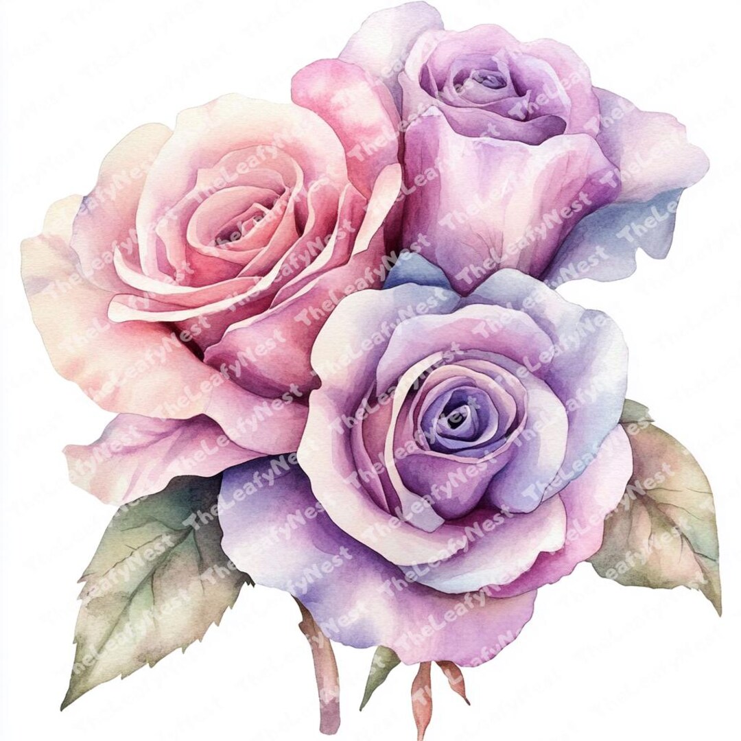 13 Roses Clipart, Flower Clipart, Printable Watercolor Clipart, High ...