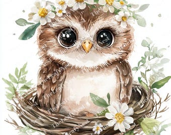 Baby Owl Clipart: Floral Crown, Watercolor Woodland Birds (JPG & PNG)