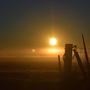 May include: A rural sunrise scene with a wooden fence in the foreground. The sun, a bright orange disc, illuminates the field and sky. The fence posts and barbed wire are silhouetted against the light, creating a tranquil atmosphere.