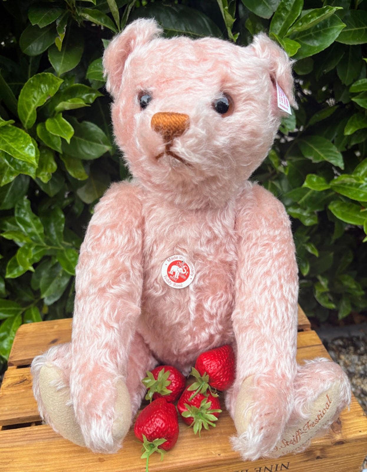 ꕤ Steiff Teddy bear Christmas Rose シュタイフ il_fullxfull.7028278060_2m09.jpg