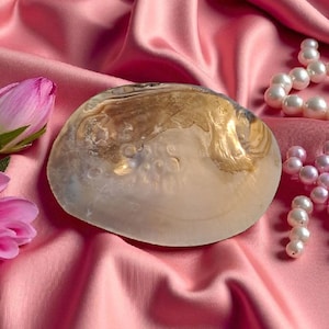 Aphrodite Opfergabe* Perlmutt Muschel mit Perlen * Muschel * Perle * Aphrodite Gift * Witch * Altar * Geschenk * Schmuck Ablage*Hexe
