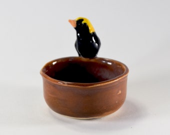 1 Miniature Regent Bowerbird dish, ring dish or tealight candle holder, bird dish Australian bird, black and yellow