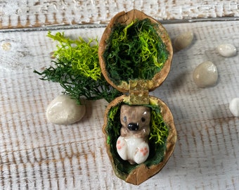 Miniature ceramic wombat baby in a walnut shell figurine, hand sculpted by Anita Reay