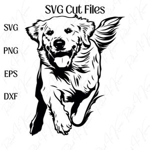 Golden Retriever SVG | PNG e mais