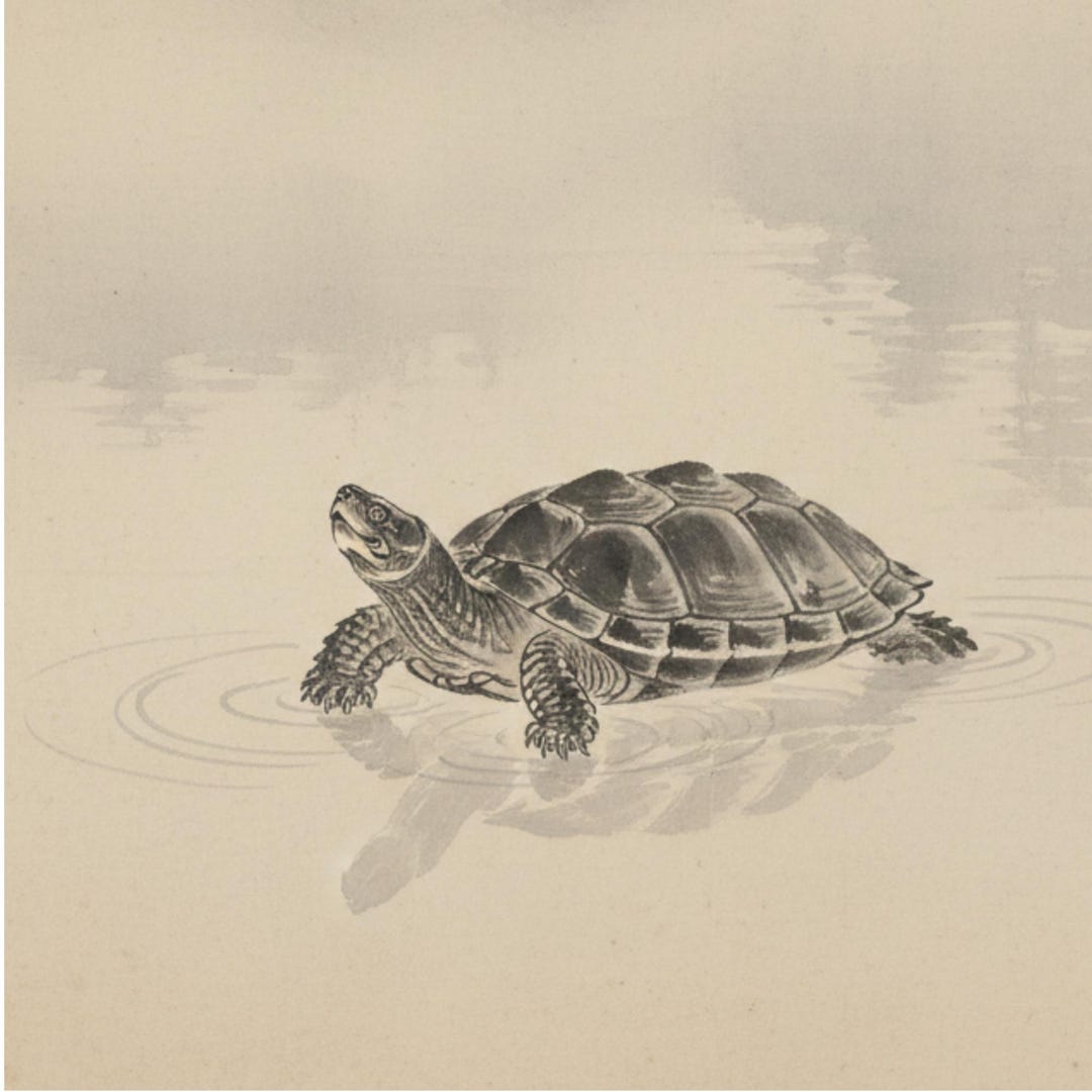 11x14 Sea Turtle Ink Wash Digital Download | Minimal Japanese Zen Wall ...