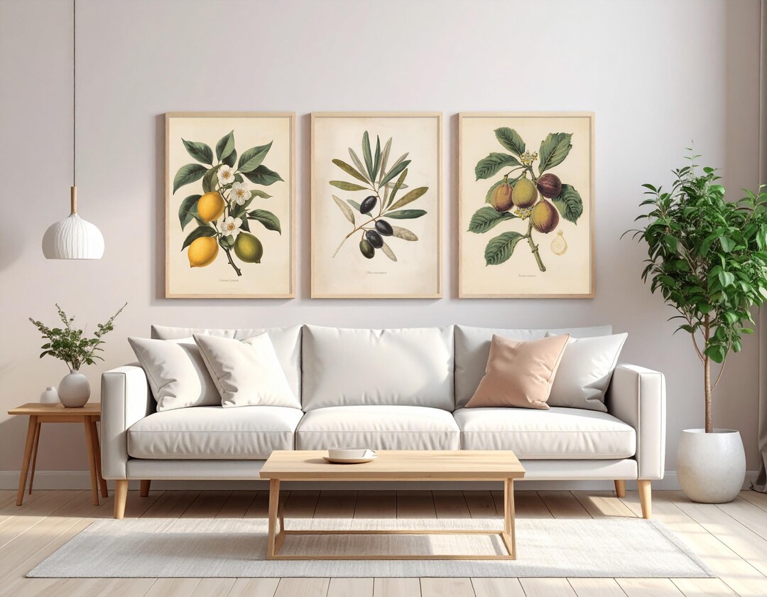 Vintage Botanical Prints Set: Lemon, Olive, Fig (digital Download) - Etsy