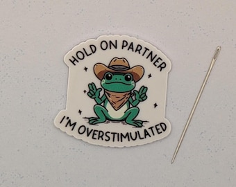 Hold On Partner Cowboy Frog Needle Minder