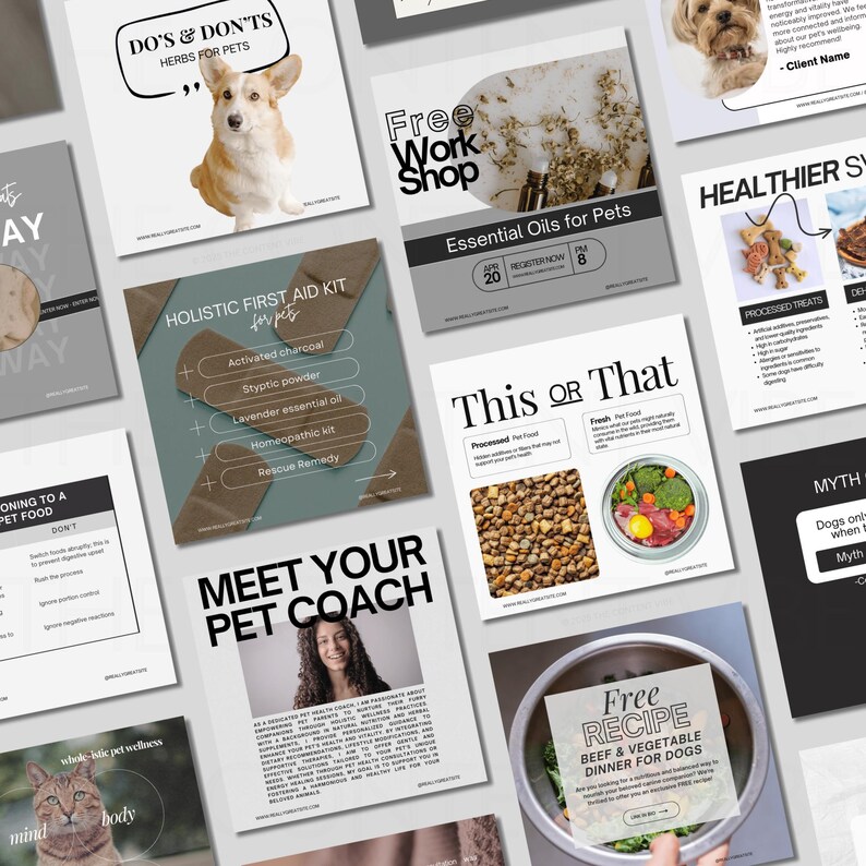 May include: A collage of images promoting a pet wellness business. The images feature a dog, essential oils, a first aid kit, a recipe for a beef and vegetable dinner for dogs, and a "Meet Your Pet Coach" graphic. The text "Free Work Shop" and "This or That" are also visible.