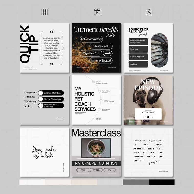 May include: A collage of nine Instagram posts about pet care. The posts include tips on turmeric benefits for pets, sources of calcium for pets, holistic pet coaching services, a new episode of a pet podcast, and a masterclass on natural pet nutrition. The posts are designed in a minimalist style with black and white text and images.