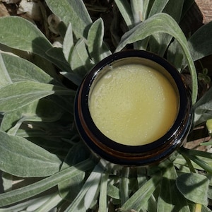 Holy-Nature Cream. 100% Natural, Organic Skincare for Powerful Wrinkle Repair and Radiant Skin.