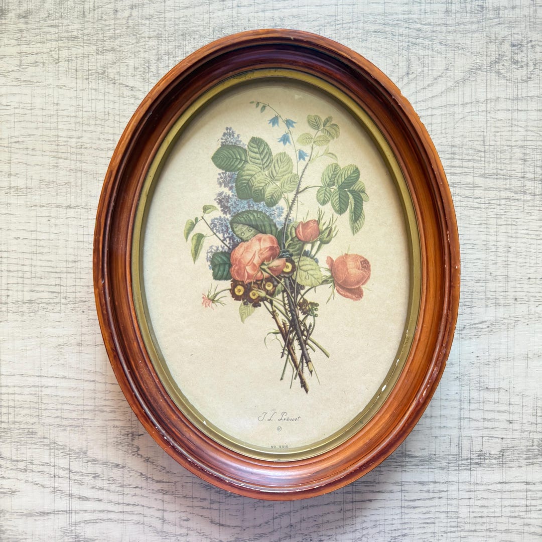 Vintage Framed JL Prevost French Botanical Floral Flower Print 501B in ...