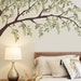 see more listings in the Nature Wall Decals section