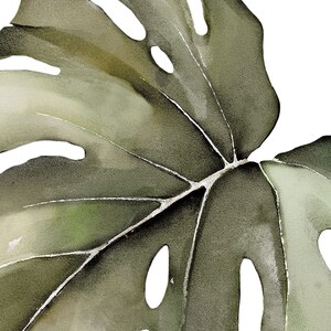 Watercolor Monstera Tropical Jungle Leaves, Safari Green Peel and Stick Removable Wall Stickers image 5