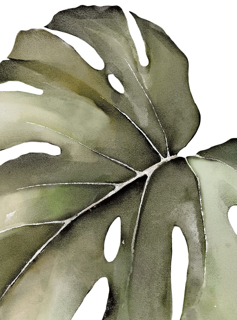 Acuarela Monstera Tropical Jungle Leaves, Safari Green Peel and Stick Pegatinas de pared extraíbles imagen 5