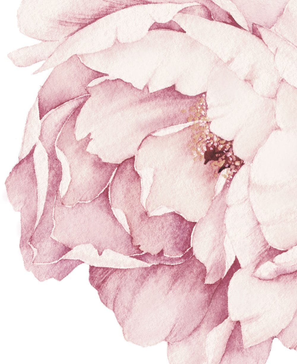 Colexy Muurtattoo grote bloemen, muursticker zachtrosa