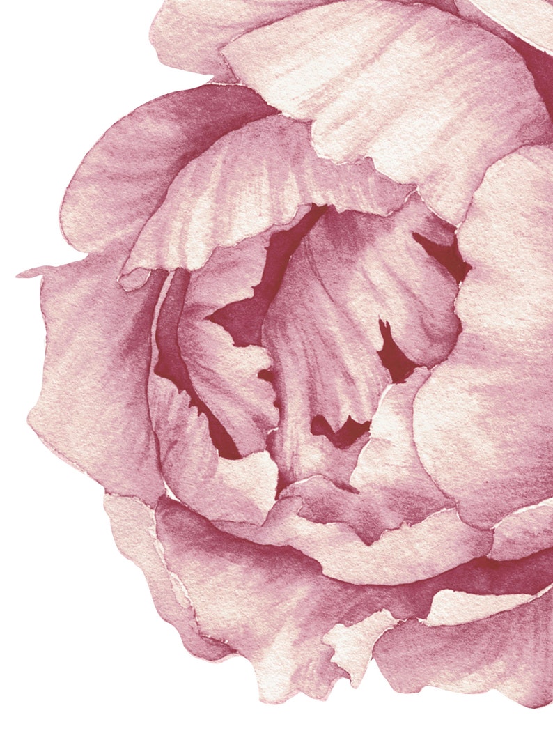 Pfingstrose Blumen Wandaufkleber, gemischte rosa Aquarell Pfingstrose Wandaufkleber schälen und ablösbare Aufkleber großes SET Bild 5