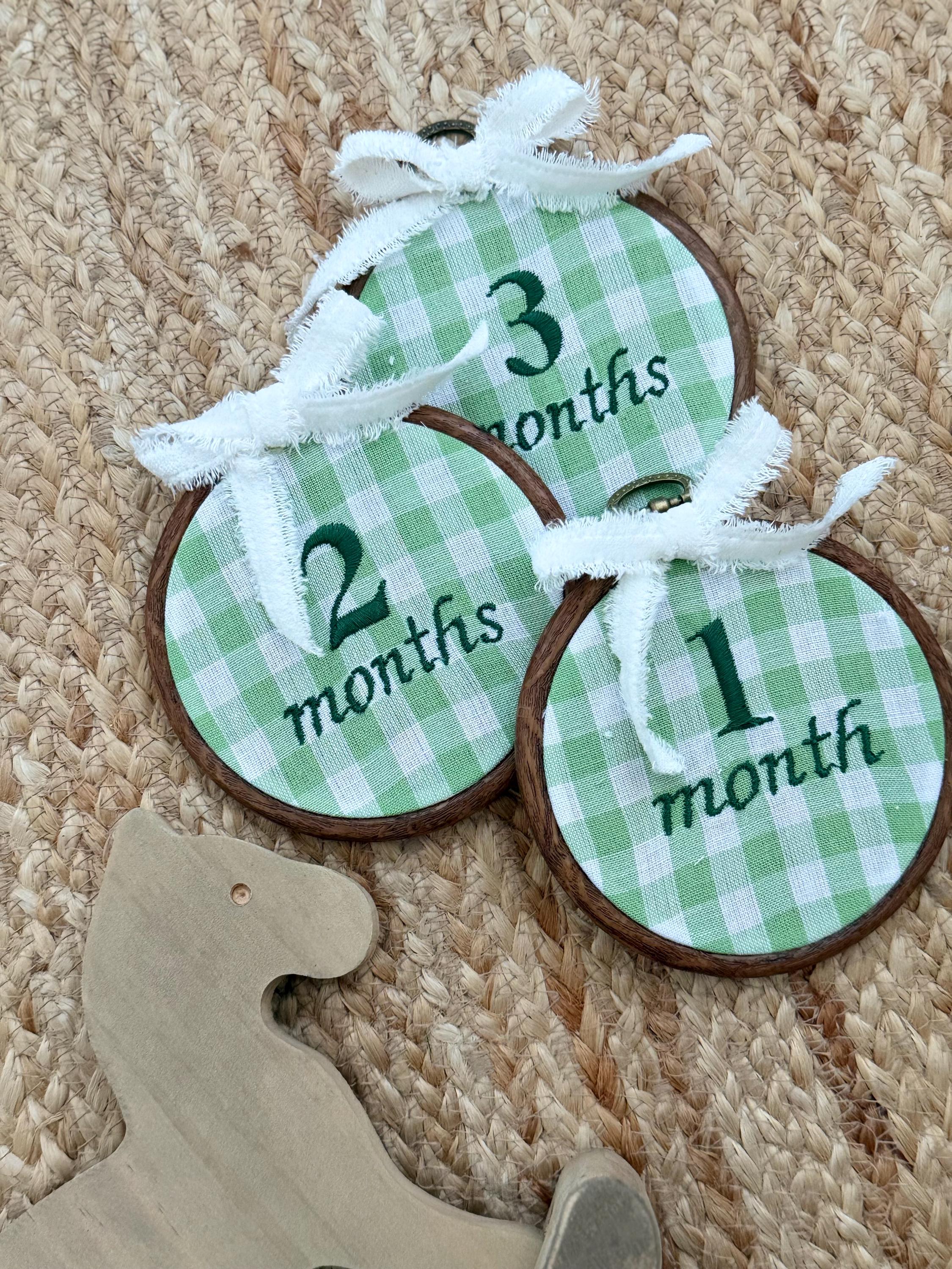 Green Gingham First Year Milestone Hoops | Embroidered Baby Milestone ...