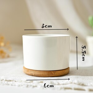 Puede incluir: Una maceta de cer&aacute;mica blanca con base de bamb&uacute;, de 8 cm de ancho y 5,5 cm de alto. La maceta es cil&iacute;ndrica y se asienta sobre un posavasos redondo de bamb&uacute; de 6 cm de di&aacute;metro. Un peque&ntilde;o cactus es visible en el fondo.