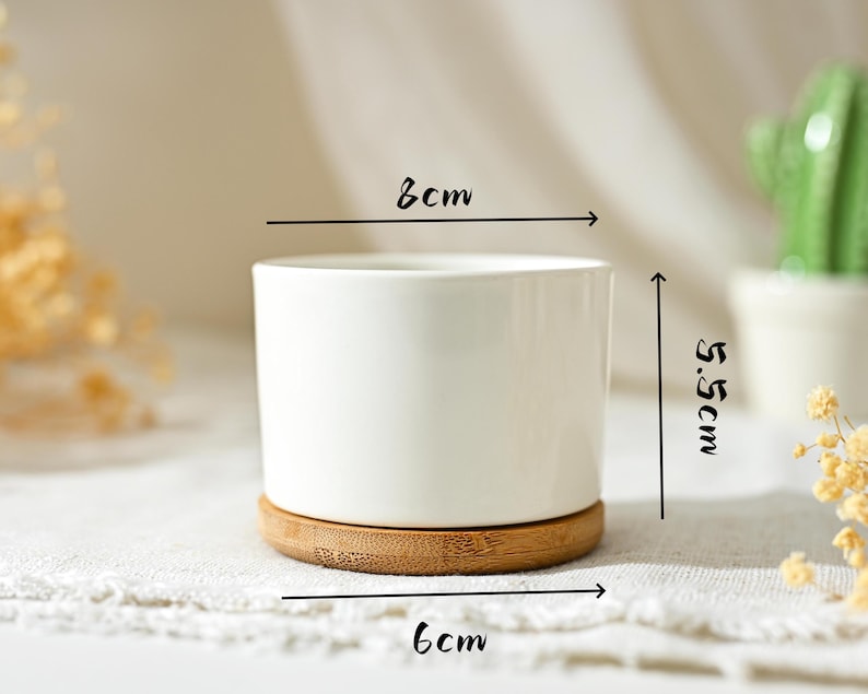 Puede incluir: Una maceta de cer&aacute;mica blanca con base de bamb&uacute;, de 8 cm de ancho y 5,5 cm de alto. La maceta es cil&iacute;ndrica y se asienta sobre un posavasos redondo de bamb&uacute; de 6 cm de di&aacute;metro. Un peque&ntilde;o cactus es visible en el fondo.