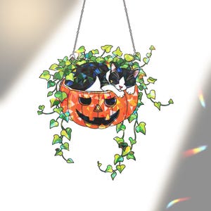 Tuxedo Cat Sleeping on Ivy Hologram Ornament, Halloween Cat ACRYLIC Window Hanger, Plant Lover Gift, Ivy Plants Decor, Cozy Cat Decor