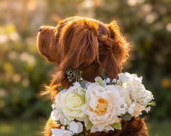 Elegante collar de perro con flores de seda / Atuendo para llevar anillos de boda