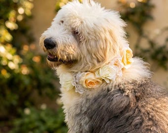 Elegante collar de seda con flores para perro / Traje de portador de anillos de boda color melocotón y crema