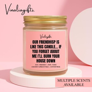 May include: A glass jar candle with a gold lid, featuring a pink label with black text that reads "OUR FRIENDSHIP IS LIKE THIS CANDLE... IF YOU FORGET ABOUT ME I'LL BURN YOUR HOUSE DOWN." The candle sits on a white pedestal.