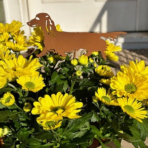 Long-Haired Dachshund Plant Stake: Rustic Metal Garden Decor