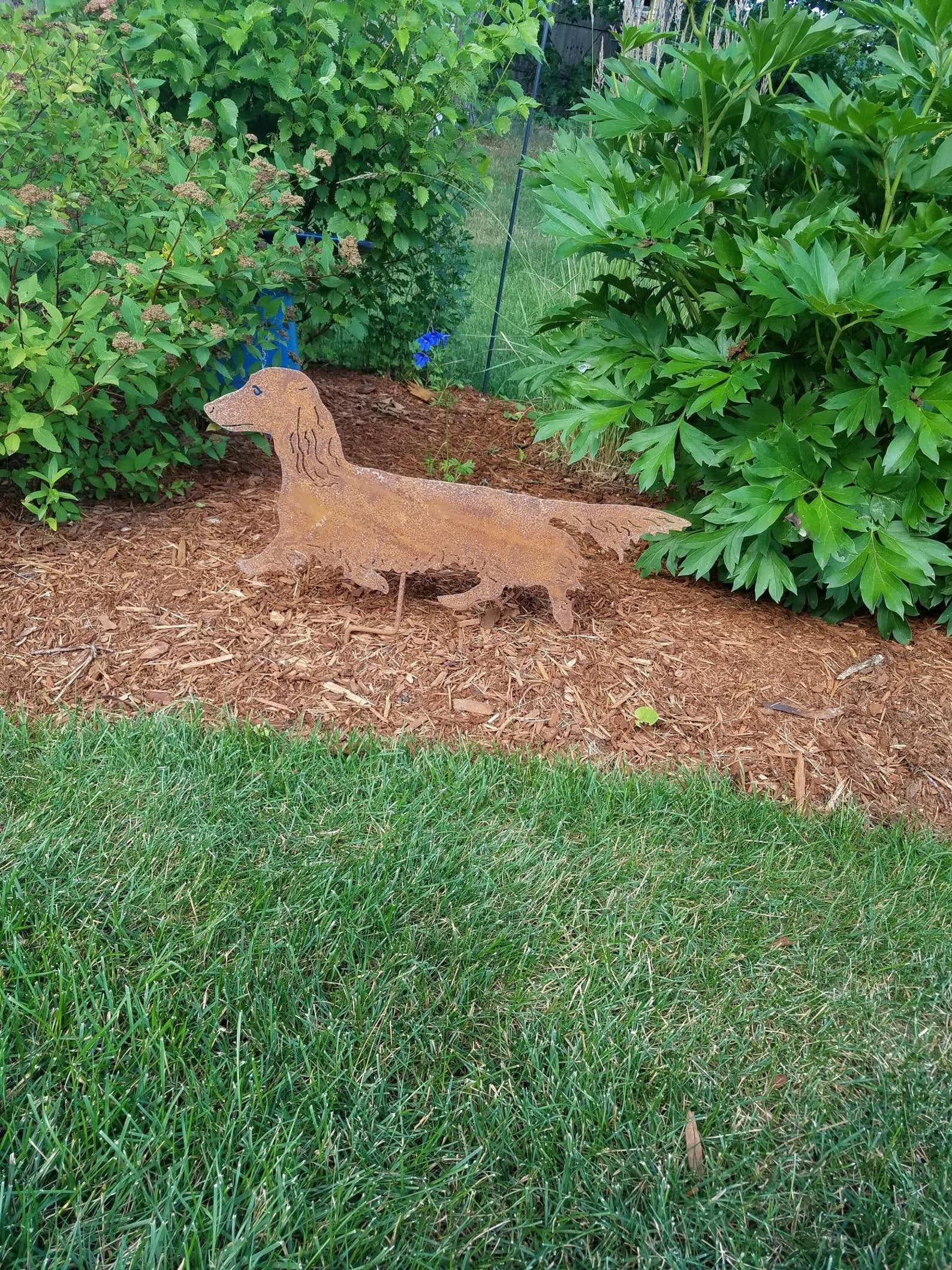 Long Haired Dachshund Garden Art or Wall Hanging Garden Etsy