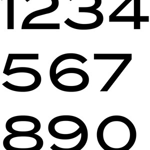 Custom House Numbers